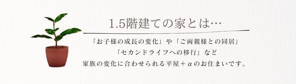 1.5階建ての家とは.jpg