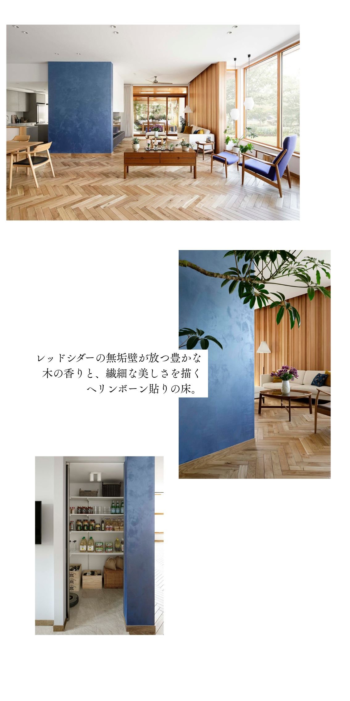 🍓HP素材用 (3).jpg